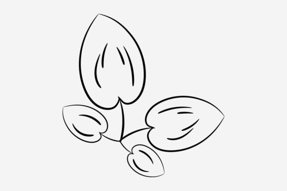 Flower Line Art Set Vector Illustration for Creatives