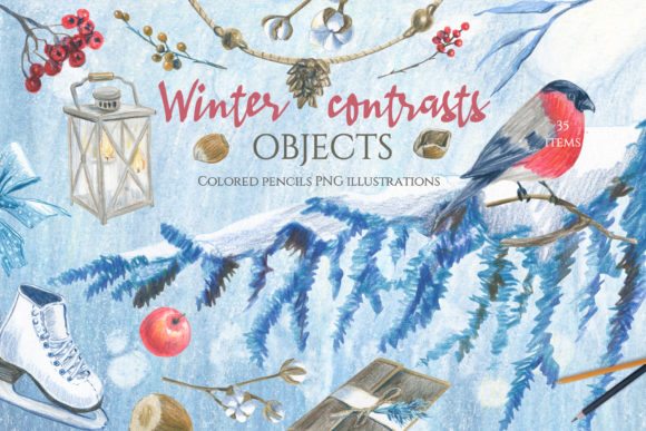 Winter Bird Clipart. Pine Branch. Cotton: A Practical Evaluation for Seasonal Design Projects